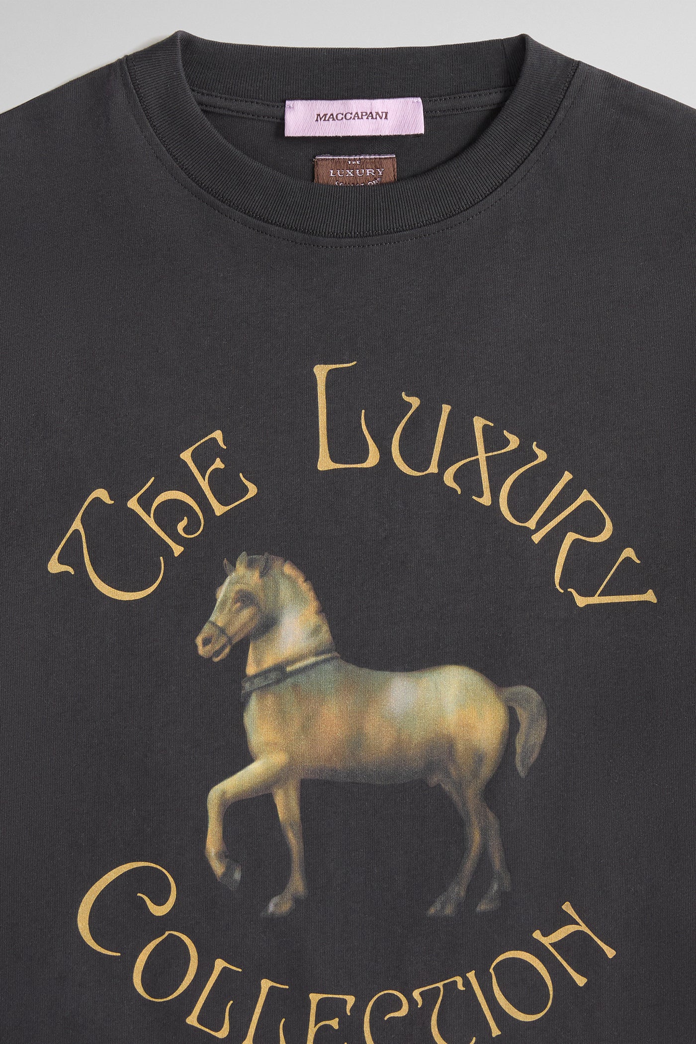 SAINT MARK'S HORSE MOTO T